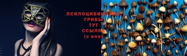 дживик Абинск