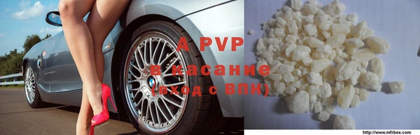 стафф Алексин