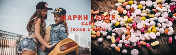 дживик Абинск