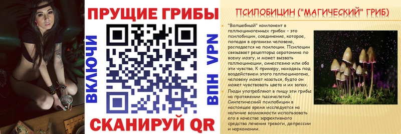 Галлюциногенные грибы мухоморы Новоалтайск